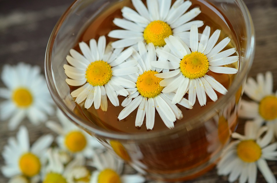 Nutritional Benefits of Supplements