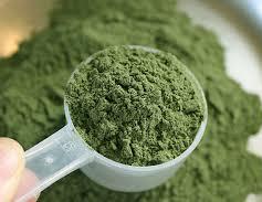 Kratom powder in measuring cup