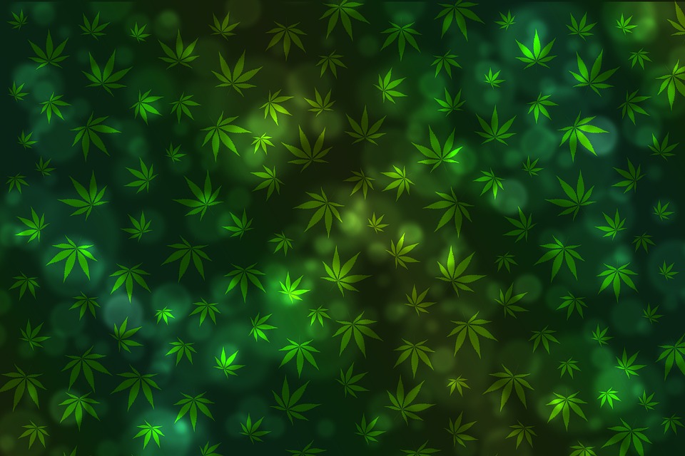 Tips for finding a reputable medical marijuana dispensary