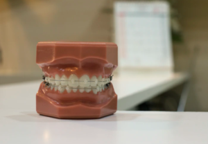 teeth