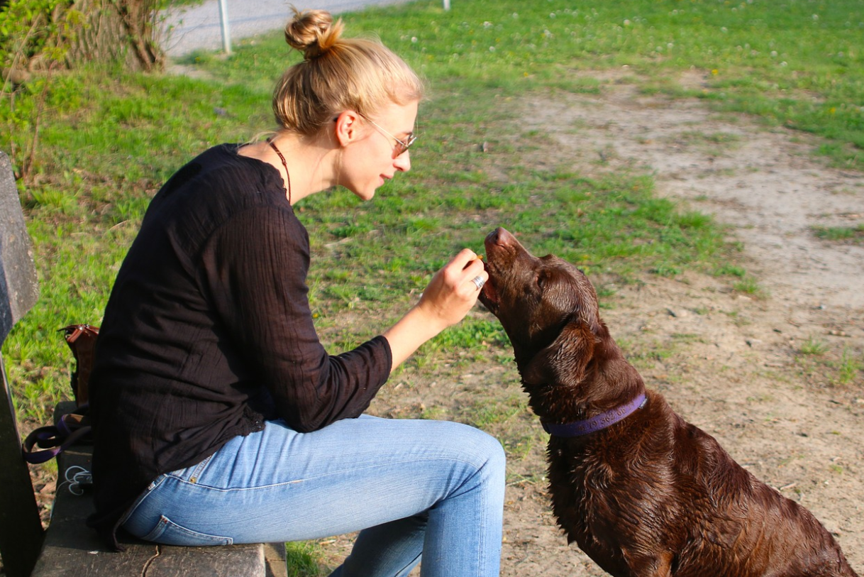 Tips to Choose the Best Healthy Dog Food
